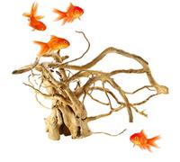 Aquarium Plants - Artificial Aquarium Decorations Plant | Solid Reptile Wood Branches Terrarium Decor Fish Tank Accessories Plants Aquarium Plant Landscape Safe for All Fish