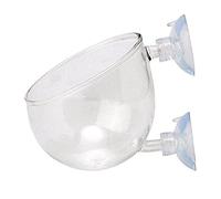 Aquarium Seeds Water Grass Pots Tank Decoration Landscape Ornament Easy Aquatic Live Plant Fish and CreativeNice and Practical