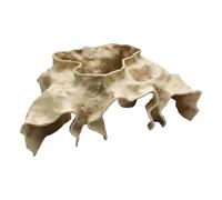 Aquarium Shrimp Tunnel - Hiding Hole Shelter Rest Decorations - Aquarium Underground Cave - for Beginners Feeding Fishing Betta Aquatic Underwater