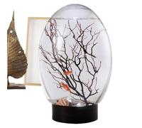 Aquarium Small Aquarium with LED Lighting Small Fish Bowl with LED Light Funny Table Centre, Tree Decoration in the Shape of a Portable Fan Department for House, Hotel Studio
