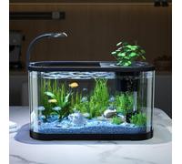 Aquarium Starter Kits, 11L Small Fish Tank with Filter and LED Light, Silent & Self Cleaning Nano Aquarium Tank, High Transparent Tropical Fish Tank Kit for Betta Shrimp dfis-h (White)