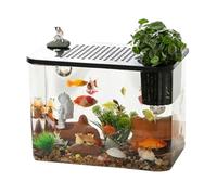 Aquarium Starter Tank - Compact Acrylic Habitat Bowl Set for Turtles and Fish Starter Kit for Setting Up a Habitat for Small Pets | Detailed Care Setup Tips for