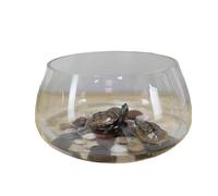 Aquarium Tank Glass circular household transparent small desktop turtle jar(Medium)