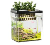 Aquarium Tank Living room turtle feeding box household transparent small office desktop(Black)