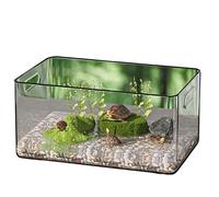 Aquarium Tank Transparent turtle feeding box simple household use for small turtles