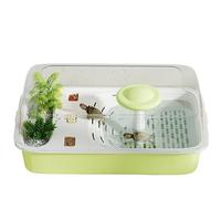 Aquarium Tank Turtle feeding tank for household use with covered climbing table and tabletop(Green)