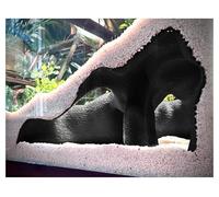 Aquarium & Terrarium Corner Cave - Faux Mangrove Root Hideout for Fish, Shrimp, Geckos, Snakes - Natural-Look Reptile Tank Decor in Textured Root Style (Charcoal, 7.5" x7.5''x4)