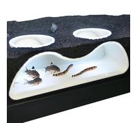 Aquarium Underground Tunnel Cave Natural Curve Two Hole | Viewing Fish & Shrimp Under Gravel Tunnel | Fish Tank Decor Decoration Hideout Perfect for Corydora Catfish, Kuhli Loach, Pleco (White)