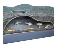 Aquarium Underground Tunnel Cave Natural Curve | Viewing Fish & Shrimp Under Gravel Tunnel | Fish Tank Decor Decoration Hideout Perfect for Corydora Catfish, Kuhli Loach, Clown Loach, Pleco