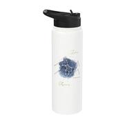 Aquarius Constellation Zodiac Sign Horoscope Aquarius Stainless Steel Insulated Water Bottle