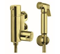 Aquarius Ft Shattaf Douche Kit With Thermostatic Mini Valve Brushed Brass