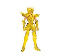 Aquarius hyoga Inheritor of The Gold Cloth Figure 17.5cm Saint Seiya Saint Cloth Myth ex Collectors Shop