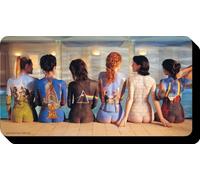 AQUARIUS Pink Floyd Back Art Chunky Magnet 4.25 Inch x 2.25 Inch