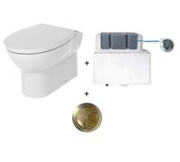 AQUARIUS QualEco Back To Wall Rimless Toilet with Soft Close Seat & Concealed Cistern - Brushed Brass in White Aquarius White