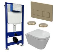 Aquarius Urbano Rimless Wall Hung Toilet Pack With Frame, Soft Closing Seat And Brushed Brass Flush Plate With Rectangle Buttons