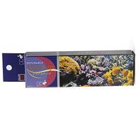Aquascape Epoxy