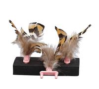 aqxreight 3pcs Pet Feather Toy Interactive Cat Toy Promote Circulation Anxiety Reduction Plastic Kitten for Indoor Outdoor Black Pets Their Attention Nature Providing Pet Feather The (Pink)