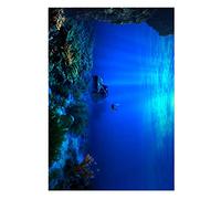 aqxreight Adhesive Seaworld Background Poster for Aquarium Fish Tank Decoration 122 X 61cm Real Realistic Looks Self-adhesive Easy Easy Material Quality PVC Clean and High Pattern Poster (91 * 50cm)