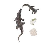 aqxreight Animal Growth Cycle Model Set for Kids Early Learning, PVC Reptile Life Cycle Figures, Educational Biology Toy for Classroom & Home, Interactive Cognitive Development Tool