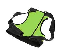 aqxreight Dog Sling for Rear Legs Helps Elderly Dogs with Reduced Mobility Lift Harness for Elderly and Sick Pet Orange Hind Legs S Size Elastic Comfortable Wear to Grade Is (Back leg size S)