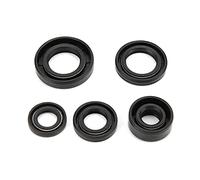 aqxreight Engine Oil Seal, Steel Alloy Engine Oil Seal Set Kit Accessory for Lifan PIT PRO Trail Quad Dirt Bike ATV Pit Bike Engine Oil Seal