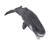 aqxreight Realistic Whale Replica Simulated Marine Animal Model Educational Collector Toy Play Appearance Children and This You Plastic Rest Tasteless
