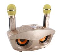 aqxreight Speaker Home KTV Karaoke Speaker With Two Microphone Large Built At 3000mAh Battery Nights You 2 Microphones Family Karaoke With Friends (Gold)