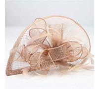 aqxreight Women Party W Fascinator Cocktail Hat H Band Accessories Veiling H Headband Vintage Clamp/Holder Amilies and friends. Party Hat Headband Feathers for Head Dr for Women W Cocktail (champagne)