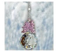 Aqxyedc VNJUGF Crystal Ball Prism Suncatcher Rainbow Maker Hanging Crystals Prisms Pendants Home Office Garden Decoration wanglan(1pcs-pink,30mm ball)