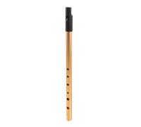 Aqxyxsw GUYTRM C Key Irish Metal Whistle Flute Beginners Professional Musical Instruments Tin Flute Traditional Music Gifts Student lingli