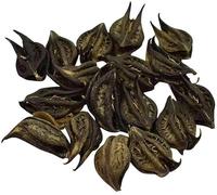 AR Natural Black Bat Head Roots - Wood Devil - Evil Pod - Kaknasa Martynia Annua - Singadas Pooja Wealth and Happiness - 11 Pc