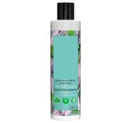 AR Onion, Black Seed & Patchouli Hairfall Control Shampoo | Sulfate Free, 200ml