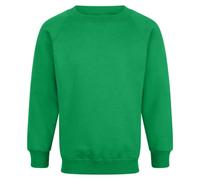 AR Paris Fashions® Kids Back to School Boys Girls Raglan Long Sleeve Sweatshirt Fleece Jumper, Child Plain Crew Neck Pullover Uniform Sweater Top (Jade Green, 5-6 Years)