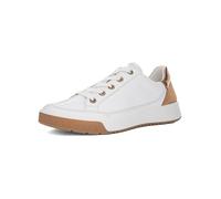 ARA 12-50004 ROM Shell, White, Kiwi, PIS, White Biscuit Whisky, 7-7.5 UK