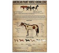 Ara Step Retro Knowledge Art Poster Prints 1 (American Paint Horse Knowledge, Art Print Poster, Indoor Home Decoration Gift, 297 x 420 mm / 11.7 x 16.5 inches)