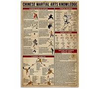 Ara Step Retro Knowledge Art Poster Prints 3 (Chinese Martial Arts Knowledge, Wall Pictures Art Print Poster, Indoor Home Decoration Gift, 297 x 420 mm / 11.7 x 16.5 inches)