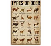 Ara Step Types Of Art Poster Prints 2 (Types Of Deer Vertical Art Poster For Indoor Home Decoration, Christmas Gift, 297 x 420 mm / 11.7 x 16.5 inches)