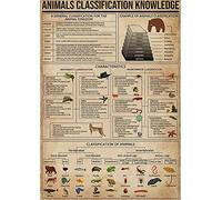 ARA STEP Vintage Knowledge Posters Animals Kitchen Wall Decor Prints UNFRAMED (297 x 420 mm / 11.7 x 16.5 inches, Animals Classification Knowledge)