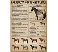 ARA STEP Vintage Knowledge Posters Animals Kitchen Wall Decor Prints UNFRAMED (297 x 420 mm / 11.7 x 16.5 inches, Appaloosa Horse Knowledge)