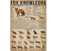ARA STEP Vintage Knowledge Posters Animals Kitchen Wall Decor Prints UNFRAMED D (297 x 420 mm / 11.7 x 16.5 inches, Fox Knowledge)