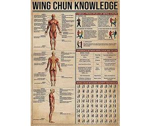 ARA STEP Vintage Sport Knowledge Educational Posters Wall Art Decor Prints UNFRAMED C (297 x 420 mm / 11.7 x 16.5 inches, Wing Chun Anatomy Infographic Kung Fu Knowledge)