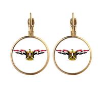Arab Egypt Flag National Emblem Gold Clip On Drop Earrings Non Piercing Dangle Jewelry