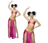 Arabian Dancer Ladies Belly Dancer Sexy Occupations Fancy Dress Costume