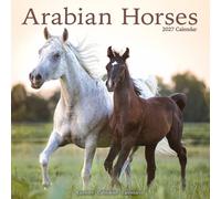 Arabian Horses 2027 Calendar | Square Wall Calendar | Animal Gift | Plastic Free Packaging | by Avonside Publishing