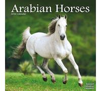 Arabian Horses 2026 Calendar | Square Wall Calendar | Animal Gift | Plastic Free Packaging | by Avonside Publishing