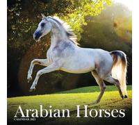 Arabian Horses Calendar 2025: A Year of Majestic Beauty and Grace with Arabian Horses