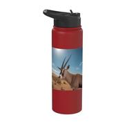 Arabian Oryx Antelope Gemsbok South African Spirit Animal Stainless Steel Insulated Water Bottle