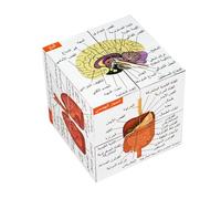 Arabic Human Anatomy Study Cube | Study 9 Parts of The Human Body | Perfect Anatomy Revision Guide | Addictive Anatomy Model Cube | Great For Nurse, Dentist, Medical Students