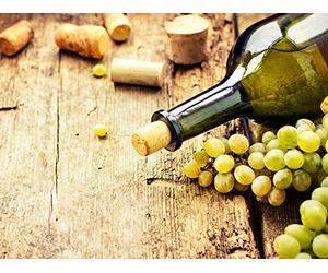 Arabic Verse, Love Poetry, and Wine Songs