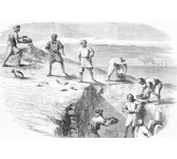 Arabs excavating the ruins of Carthage. From L'Univers Illustre published Paris 1859 Poster Print by Ken Welsh (18 x 12)